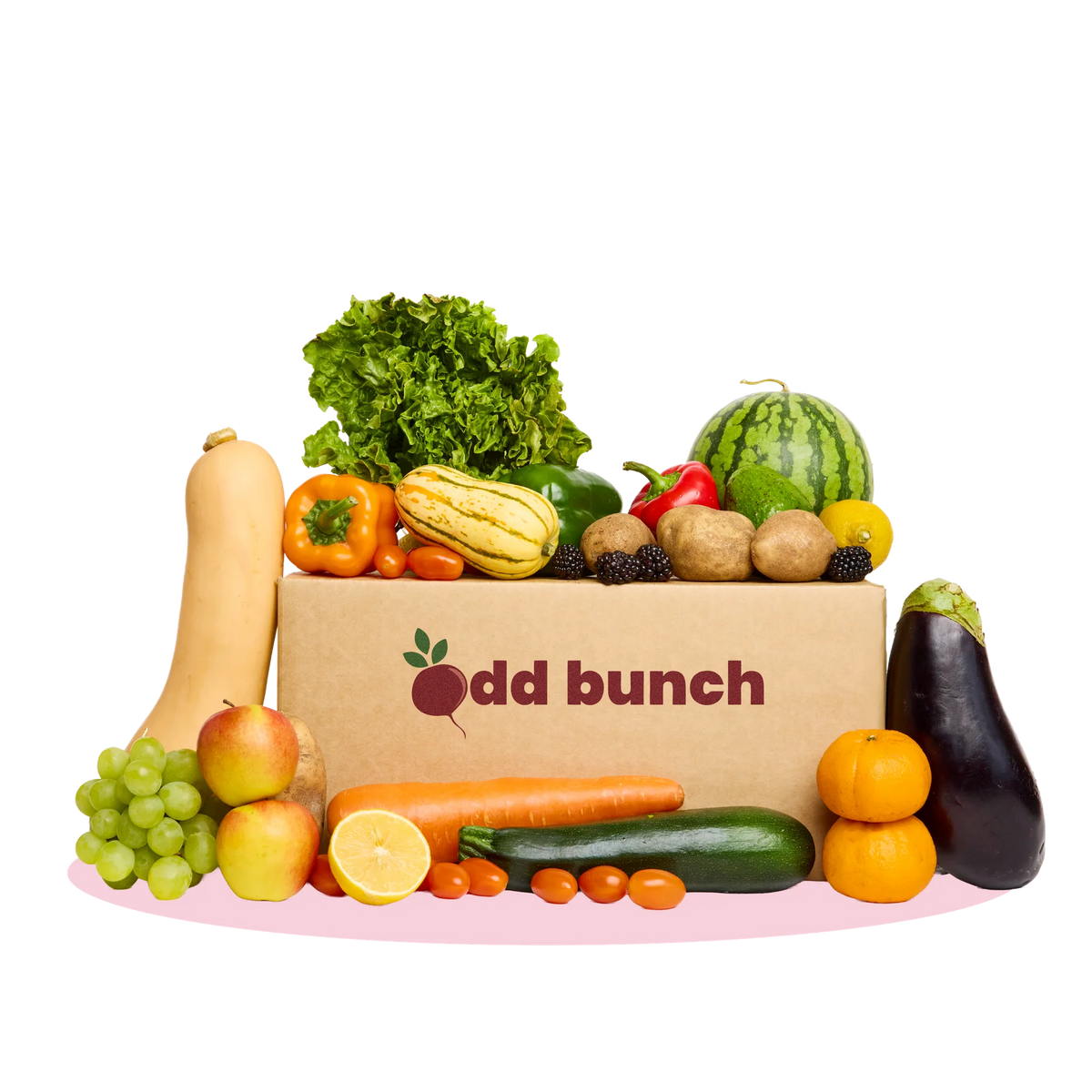 Medium Box